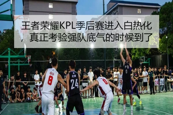 img_1780222960598_4_2_513.jpg